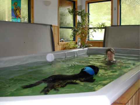Plato swimmming with Cindy