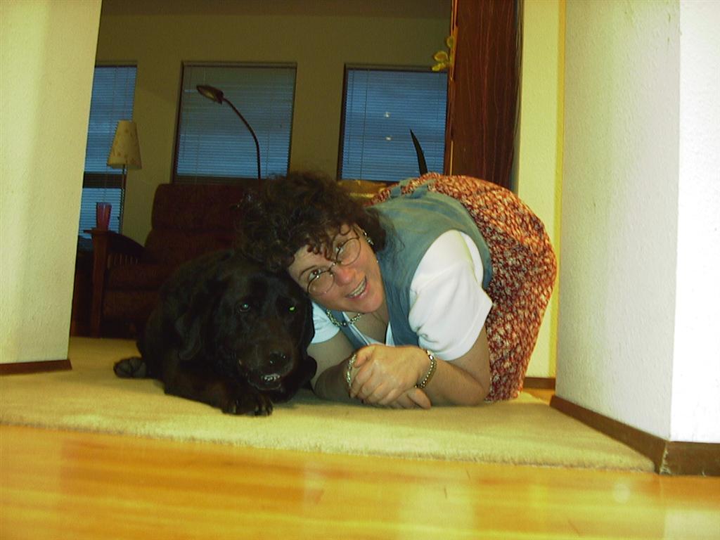 Plato and Shelly
