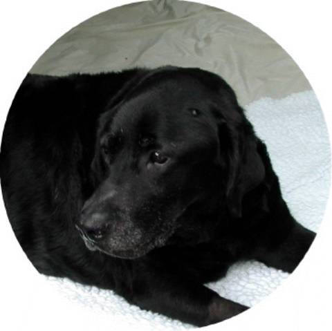 Plato (October 2001)