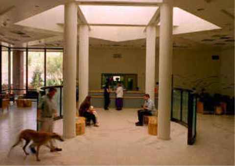 Lobby of the WSU Veterinary Teaching Hospital